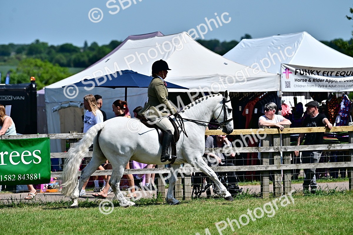 SBM_17490 - Class 95-97 - BSPS LHS Performance Ponies