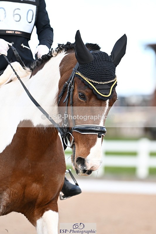 240324A-130908-02812 - Novice 27, 12.30 to 13.50