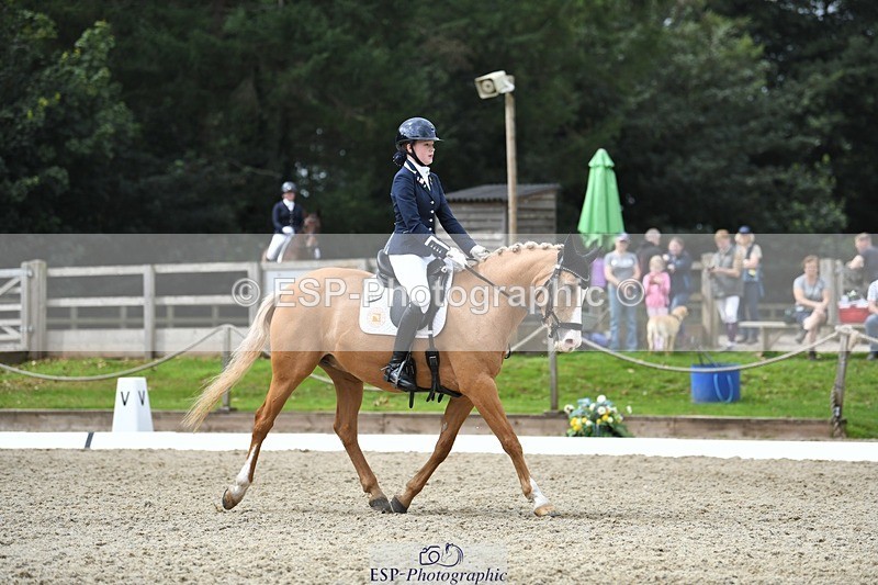 230812-123828-04160 - Cls 6 Novice Silver 12.10 to End