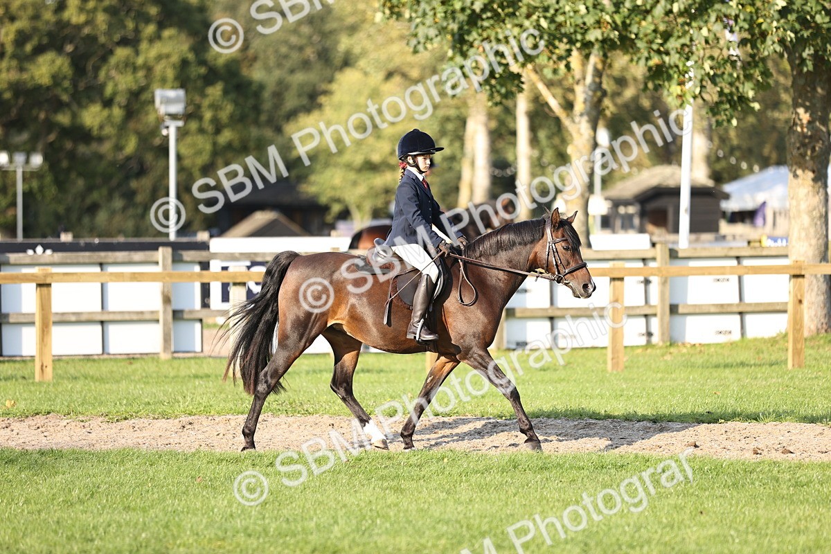 SBM_29466 - S7 - Novice & Newcomers Ridden Pony