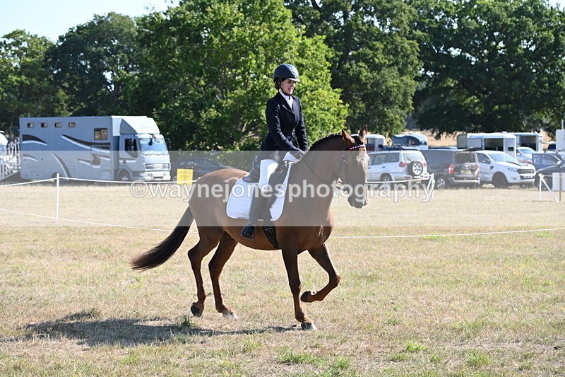 WJ6_7207 - Class 33 Rescue Pony