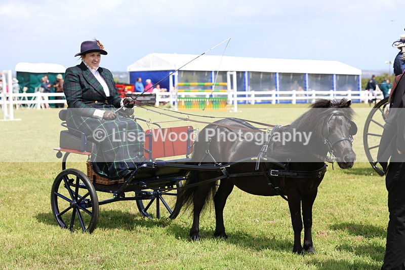 3E7A2768 - Class 12: Open Driving