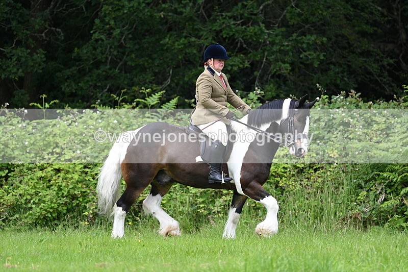 WJ7_2328 - Class 12A Coloured Class