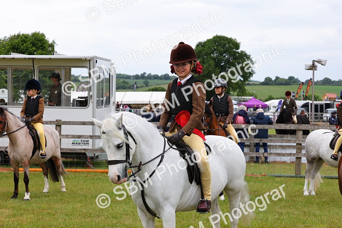 SBM_08855 - Class 42-43 - LIHS BSPS Heritage Working Sports Pony