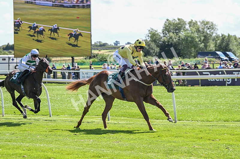 050825-Race 1-Reverberate-5041 - Race 1