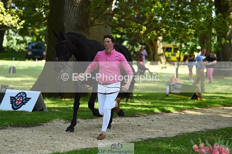 230524-154758-00510 - 363-RLE_KHALEESI_C-Christopher_Wincer-WEDTrotUp+DR