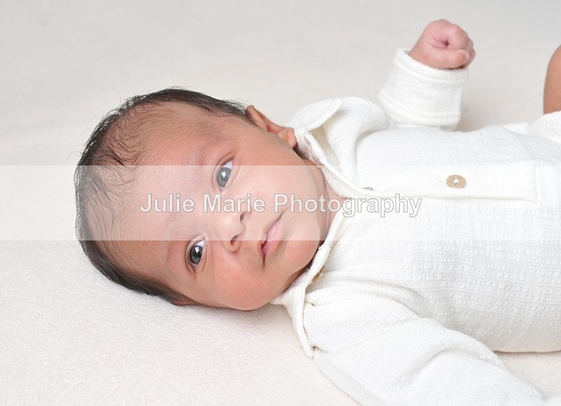 DSC_0990 - Taran