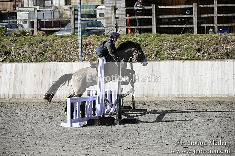 BVRC SJ 170319 198 - Bourne Valley Riding Club Showjumping 17/03/19