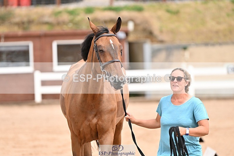 250716-150840-01682 - Trot Up 2.30 to 3.30