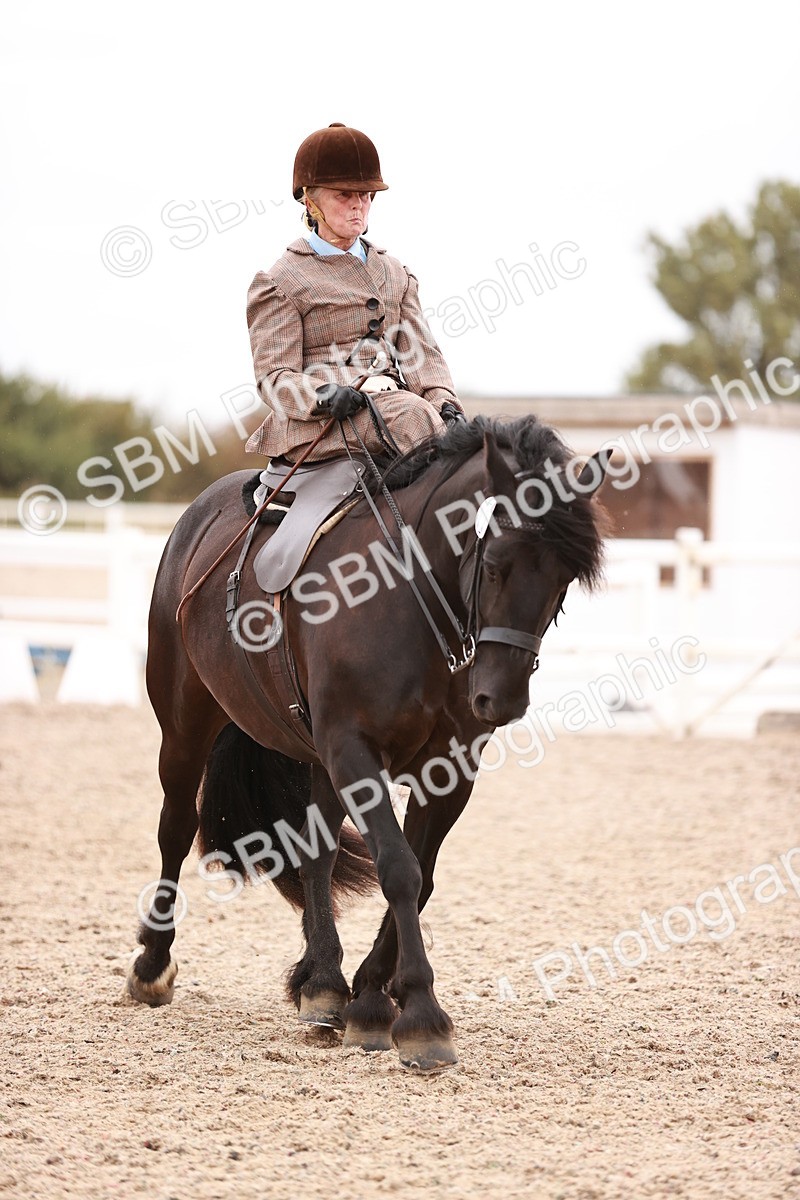 SBM_19043 - Class 422 - Ridden M&M