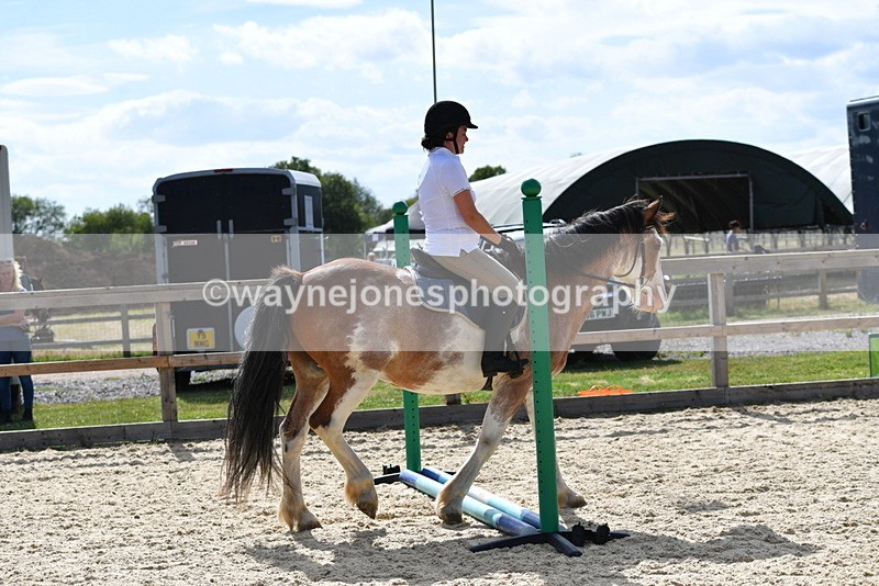 WJ5_5555 - Poles on the Floor