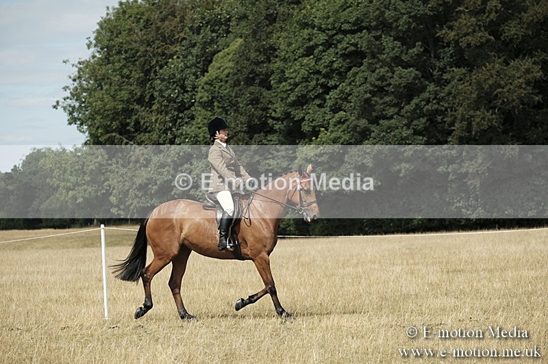 _PJP6108 - Ridden Championship BVRC Show 2018