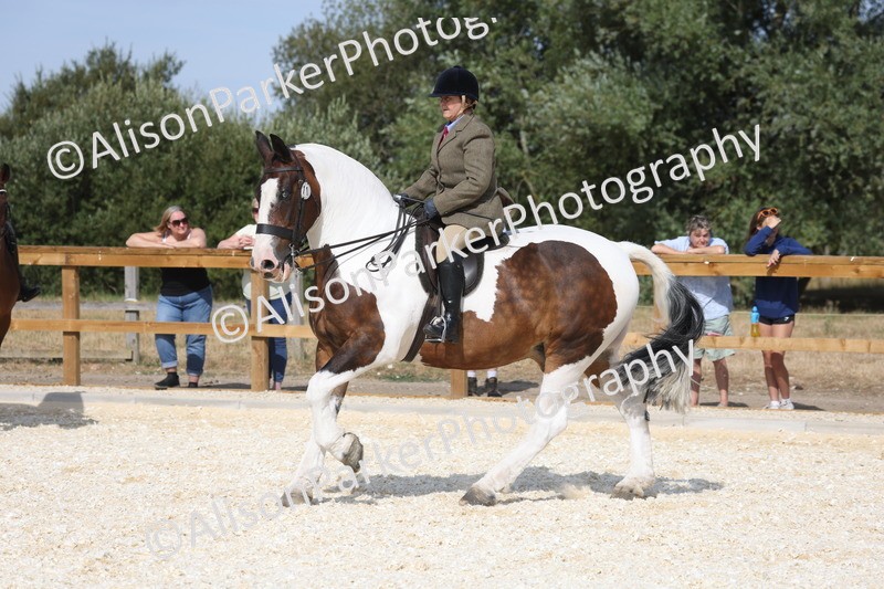 20260802-0455 - Class 6 - Veteran Ridden
