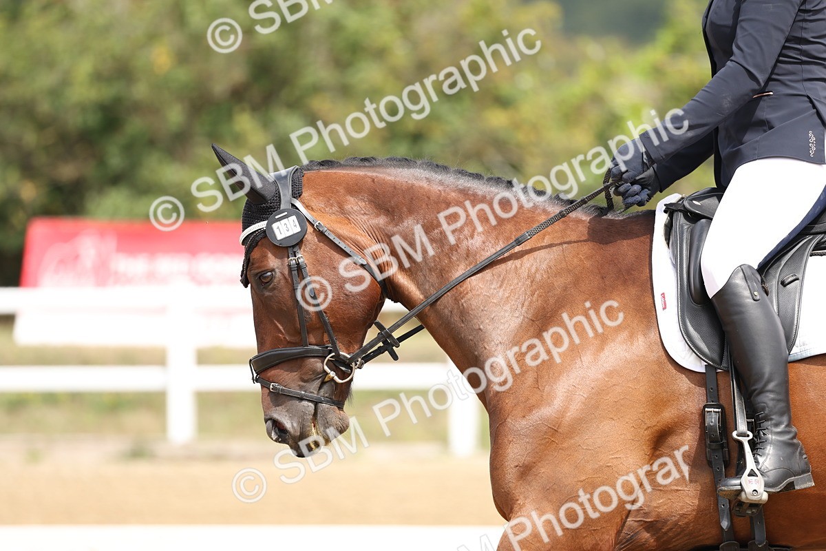 SBM_006231 - Class 6 - novice 6 - 11.50-12.46