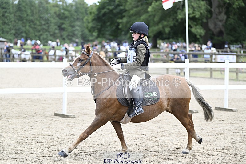 240822X-152500-11767 - 40cm A R2 15.00 to 16.16