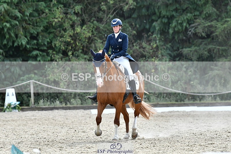 260802A-151542-07335 - Intermediate Bronze