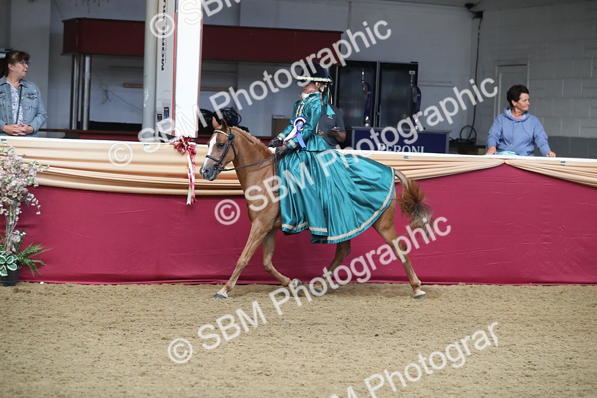 SBM_11309 - Class 104 Ridden Costume - Astride Junior