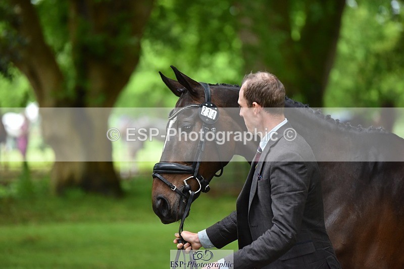 240522-170240-01344 - 234-MATTERHORN_RISING-Tom_Rowland