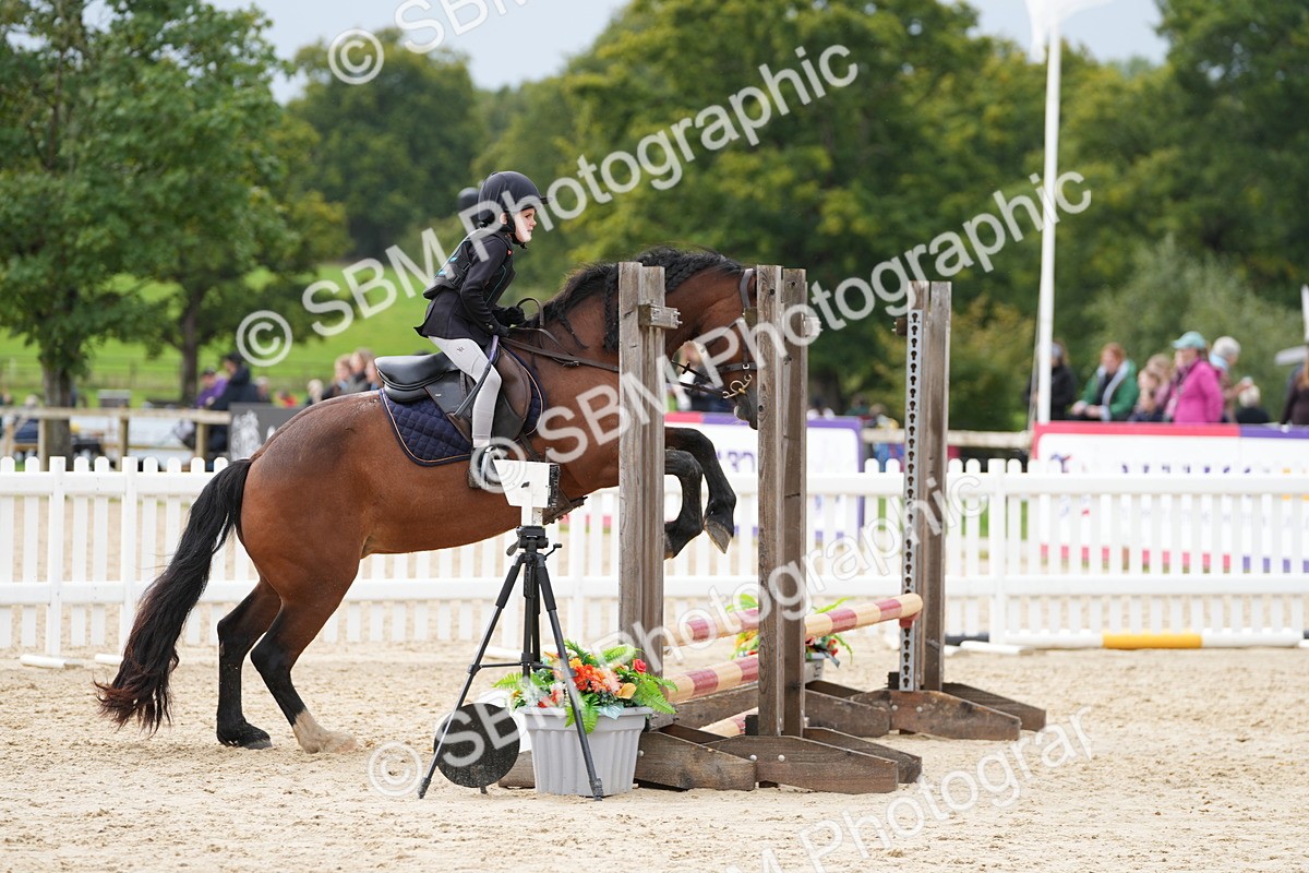 SBM_39799 - J6 - Junior Pony 55cm Championship