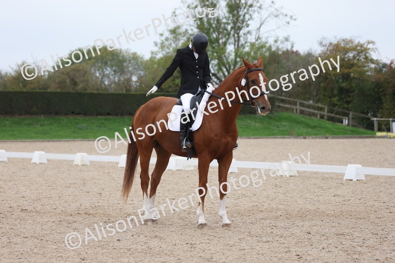 20251011-0589 - Class 7 - Elementary 2