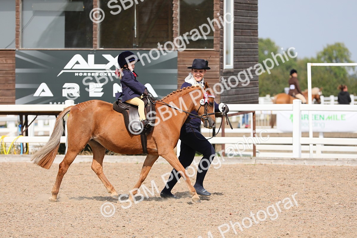 SBM_14004 - Class 309 Lead Rein Pony