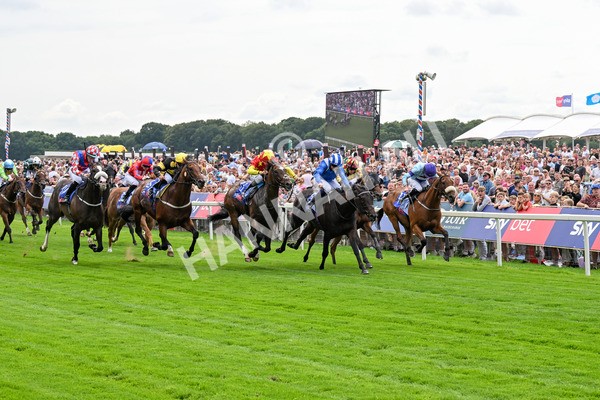 260725-Race 2-Elmonjed-0321 - Race 2 2.00pm Sky Bet Dash Handicap