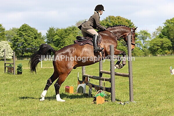 IMG_4455 - Working Hunter
