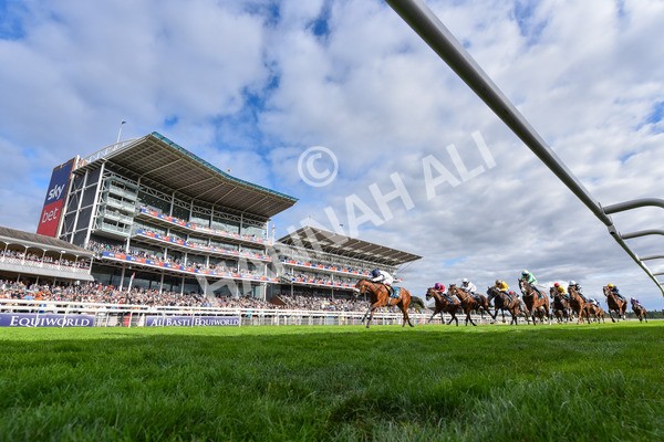 210825-Race 6-Stellar Sunrise-9229 - Race 6 4.45pm Mews Hotel Ossett EBF Stallions Nursery Handicap