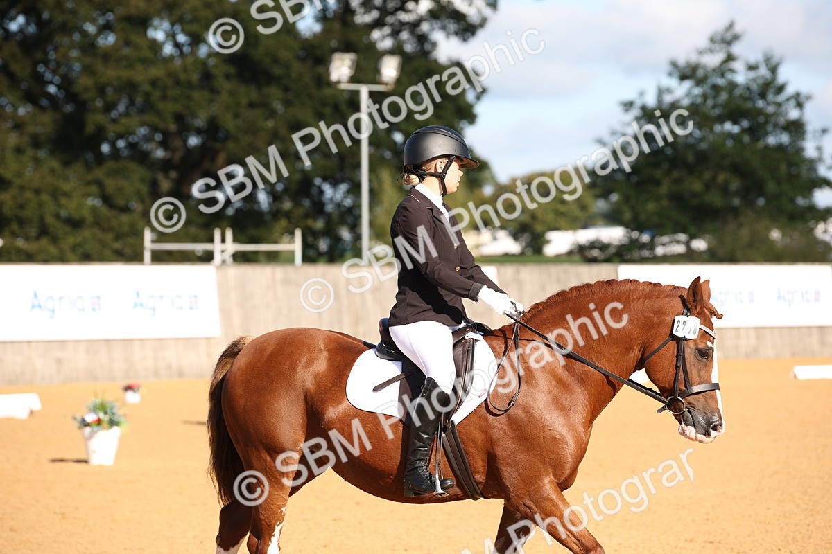 SBM_01911 - D2 Small Tour Championship Intro C