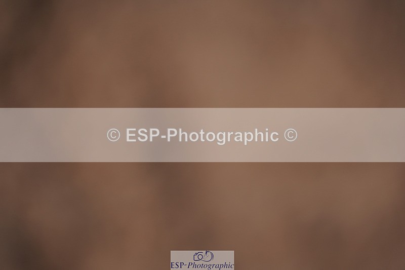 240418A-131736-03103 - Cls 37, Amateur 1.05m