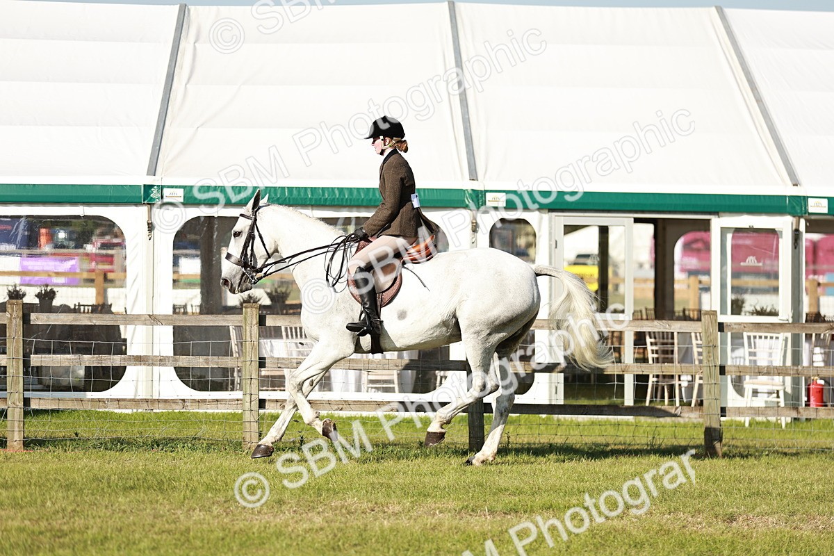 SBM_20001 - Class 115-116 - LIHS BSHA Rising Star Working Hunter & Show Horse
