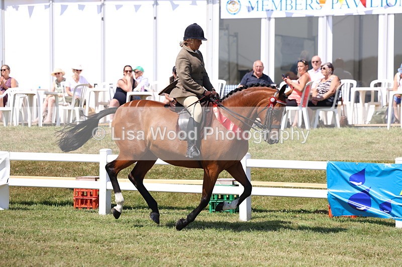3E7A7645 - Rising Star Ridden Championship
