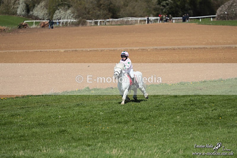 Shet 060426 133 - Shetland Pony Racing Paxford Races Easter Mon 06/04/26
