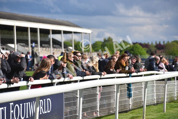 yr22052021r7-32 - Race 7 5.25pm Hudson Quarter York Palace Capital Stakes - Gentleman Amateur Riders Race