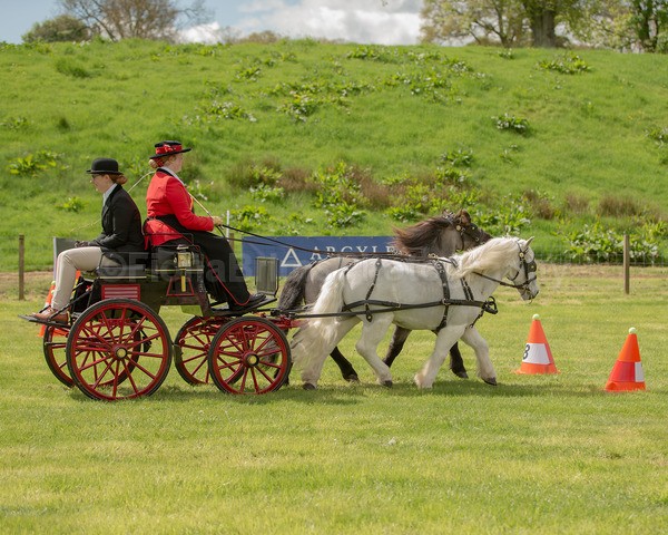 Attelage -934 - CIAT Glamis 2026