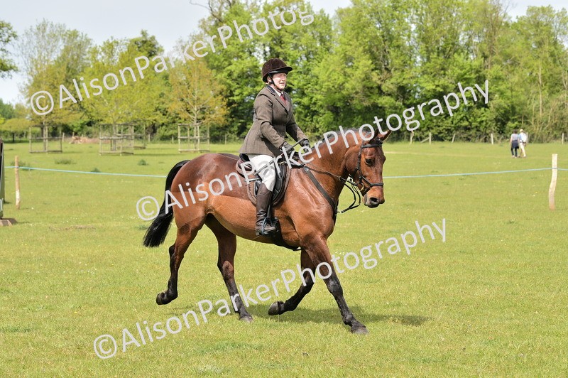 20260426-3685 - Class 22 - Working Hunter