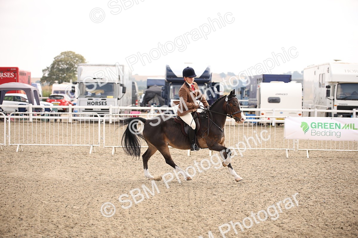 SBM_13563 - Class 406b - Working Veteran 50cm (20+)