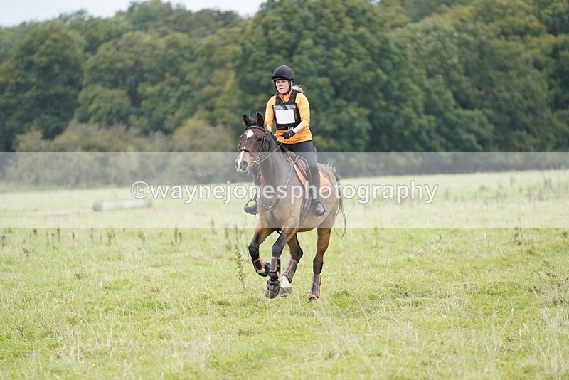 _DSC6989 - Time at Photographer 10:13 to 10:42