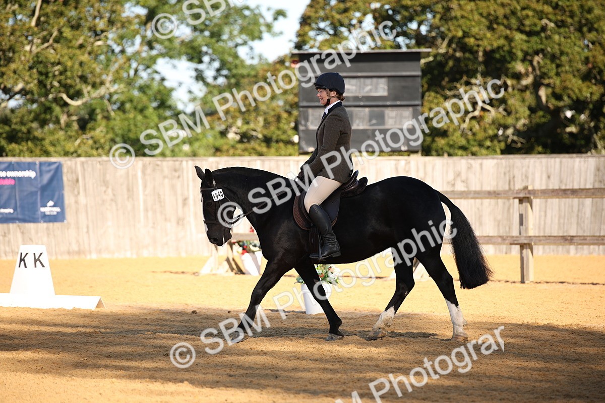 SBM_18307 - D31 - Grand Tour - PYO Open