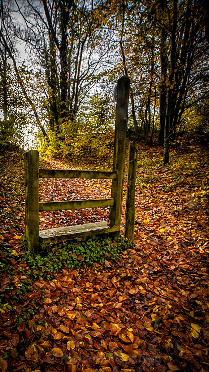  - Autumn