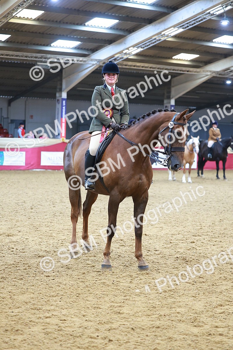 SBM_09856 - Class 102 - HOYS Veteran Qualifier - Ridden Veteran