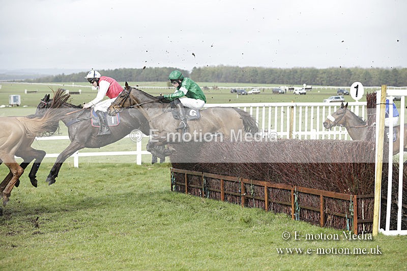 PtP 150320 0390 - New Forest Point-to-Point Larkhill 15/03/20