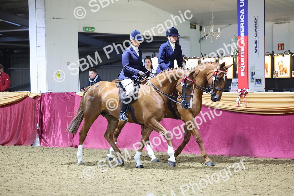 0B8A4328 - Class M Ridden Pairs Champ