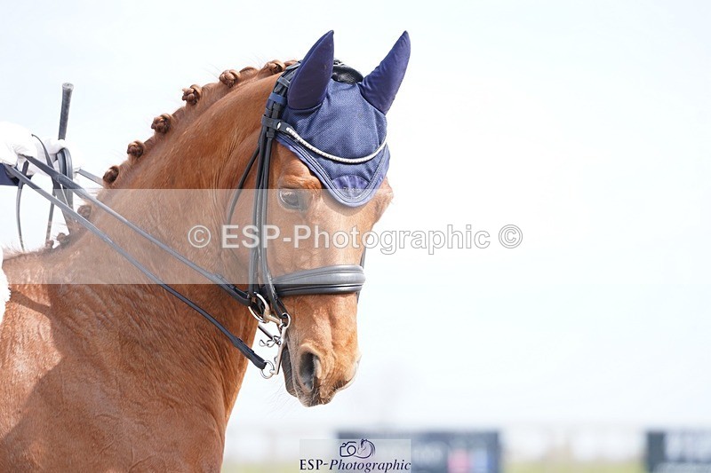 250403-140200-02836 - 004-Sara-Jane.Lanning-Hawtins.Lirica