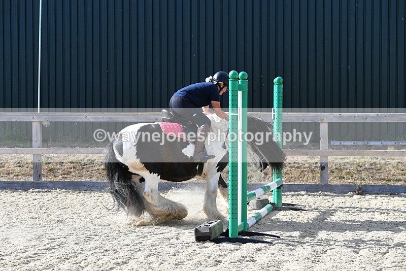 WJ5_5907 - Poles off the floor