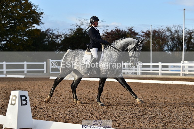 231104A-145638-02222 - Cls 13 Adv Medium 91