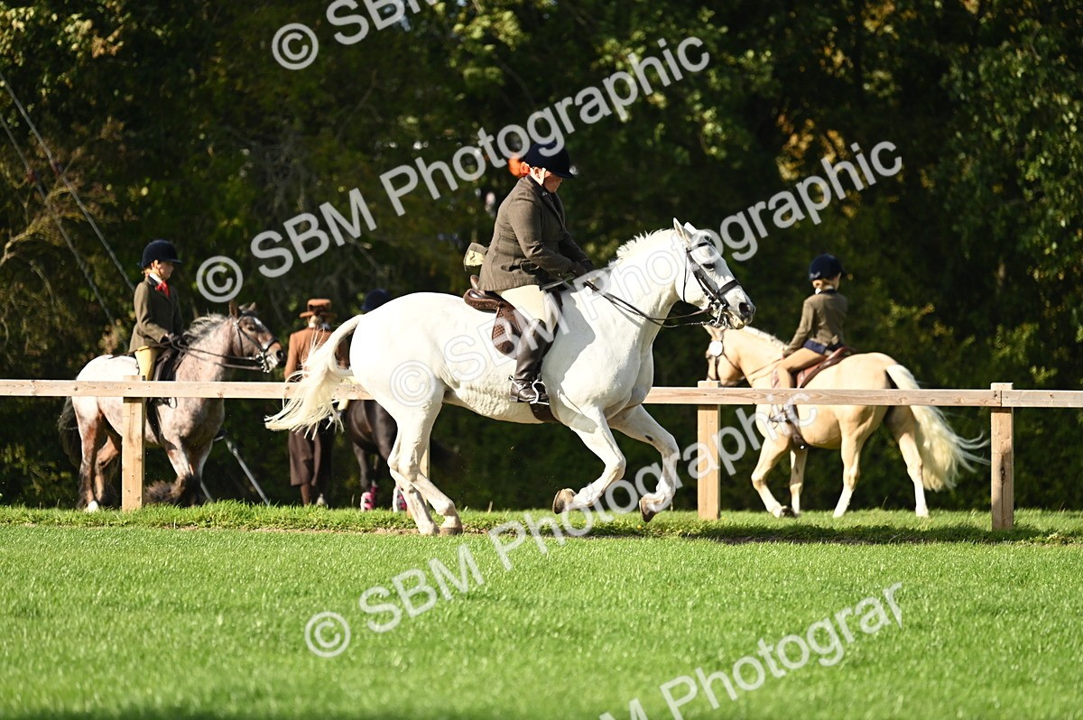 SBM_26453 - S6 - Novice & newcomer Ridden horse