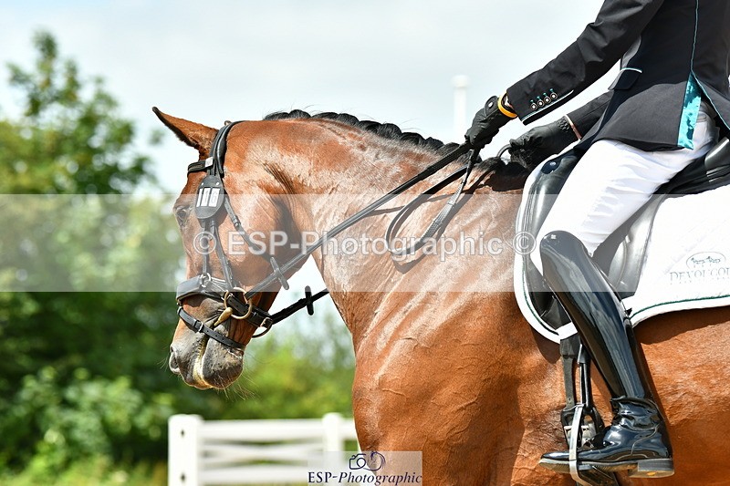 230702A-134027-10065 - Cls 31 Medium 69