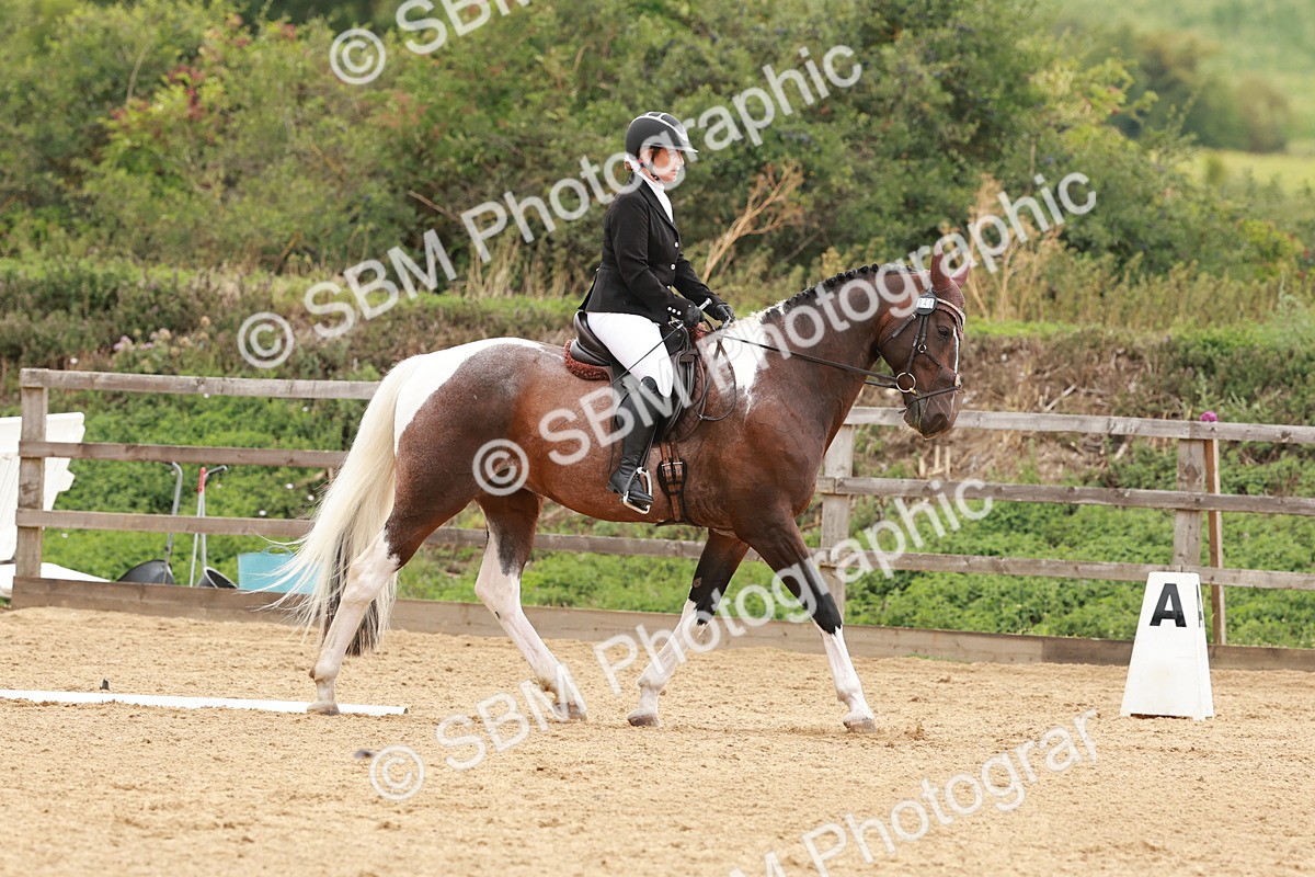 SBM_002768 - Novice 2
