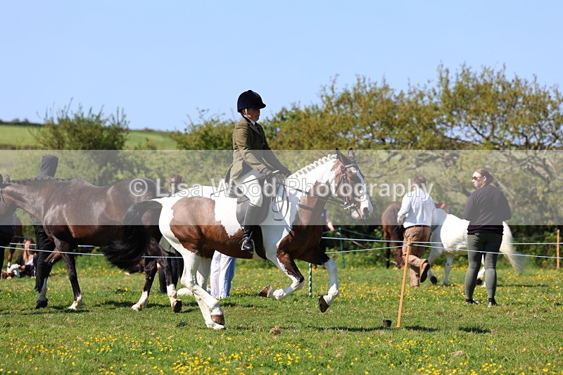 3E7A9511 - Class 4: Best Combination Senior